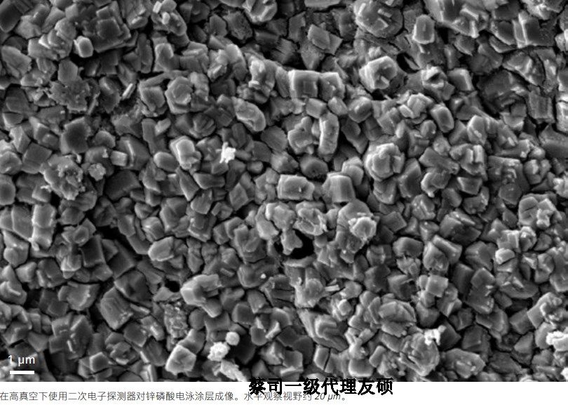 永川蔡司永川扫描电镜