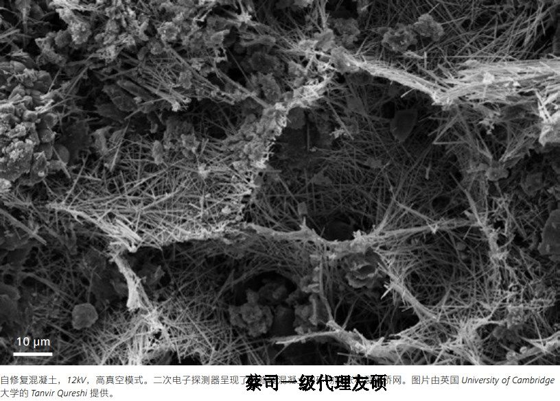 永川蔡司永川扫描电镜