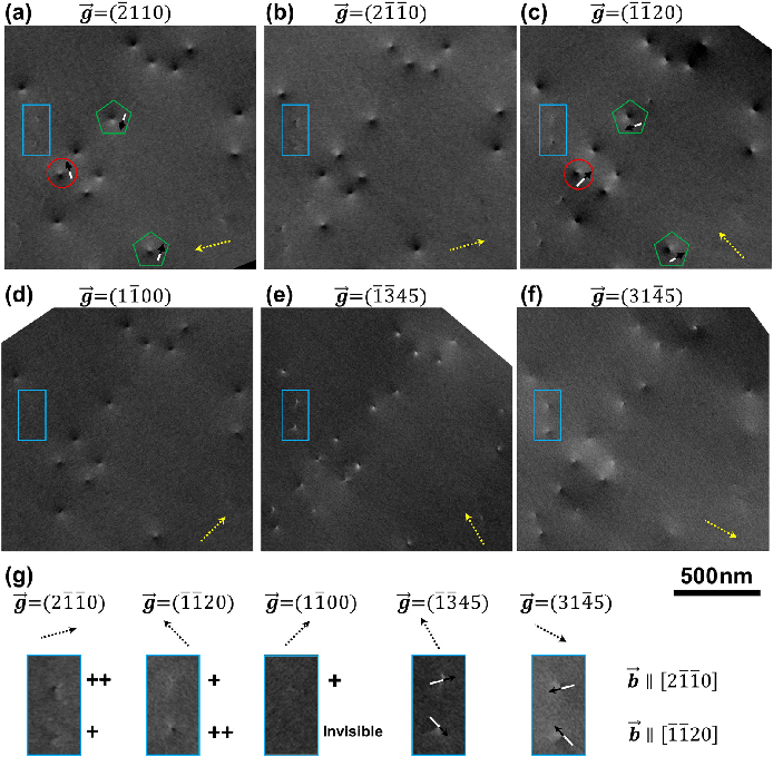 场发射永川扫描电镜