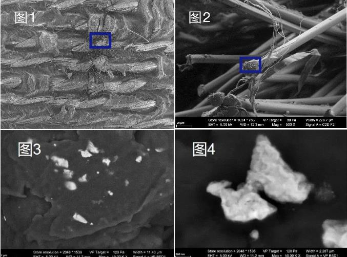 永川蔡司永川扫描电镜